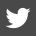 ico-twitter