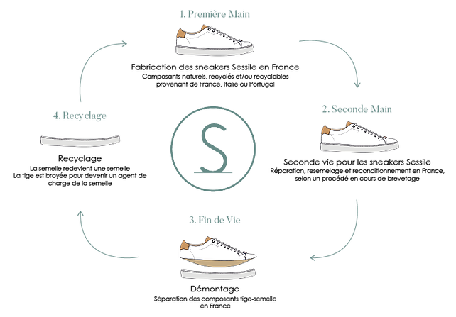 Illustration Sessile