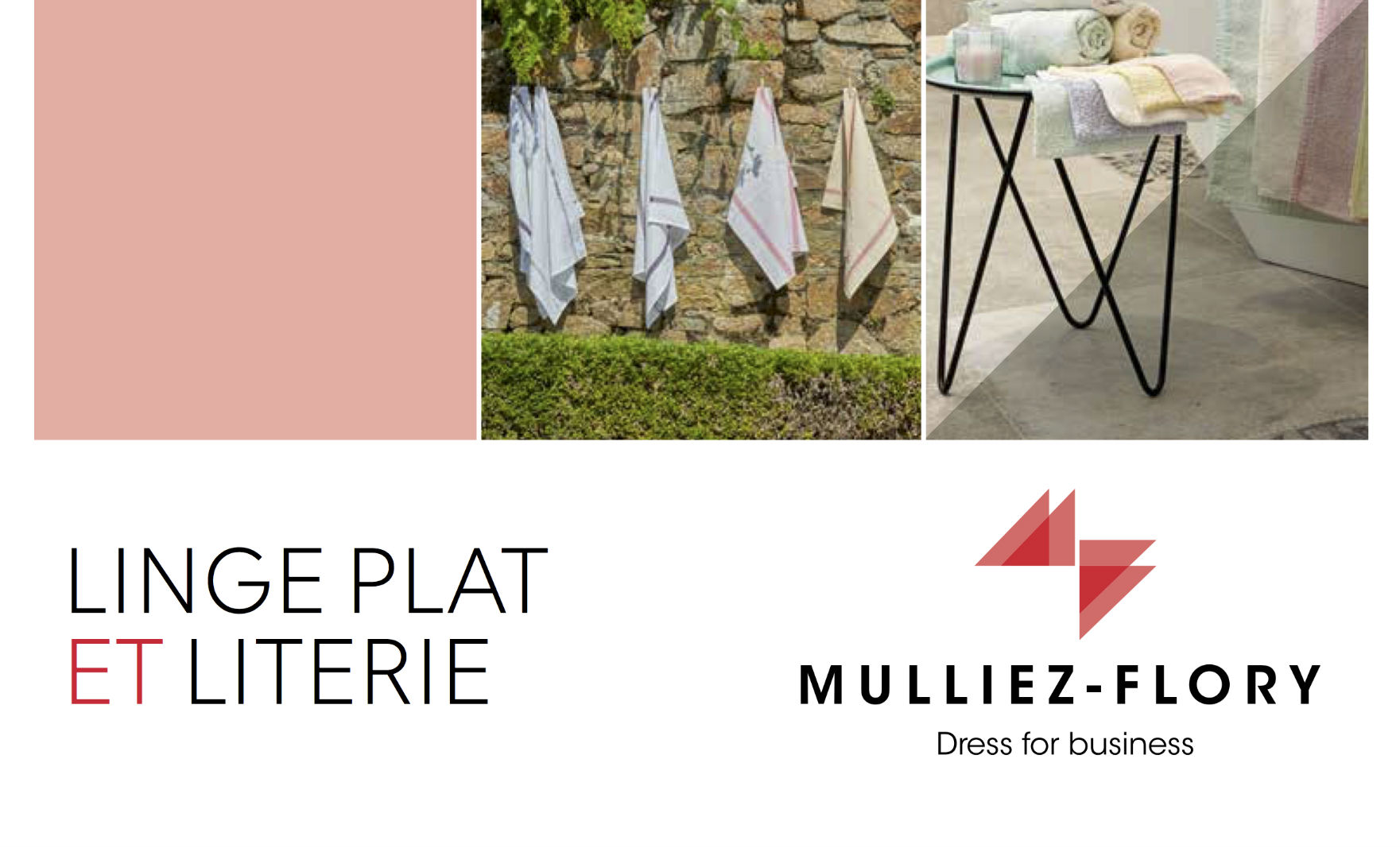 image-accueil-sante-plat